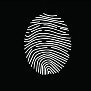 Picture of Pagosa Perde