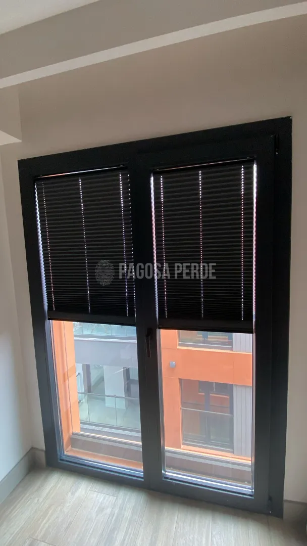 blackout plicell 2